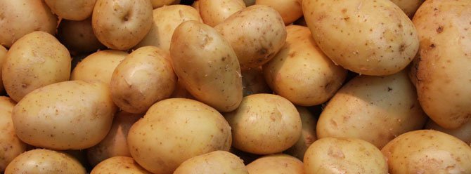 Patates ne kadar dayanır, kaç günde bozulur, saklama koşulları nasıl olmalı?