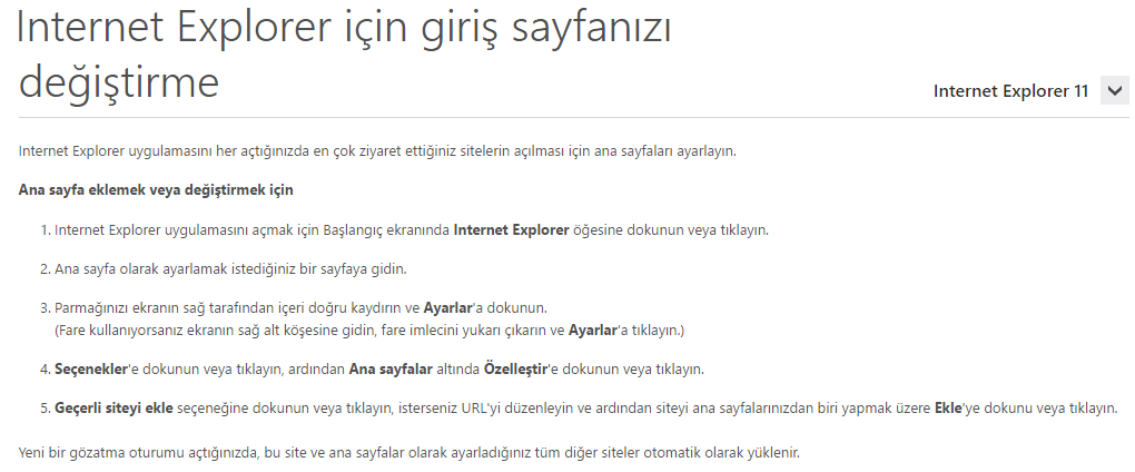 google-anasayfa-yap-internet-explorer