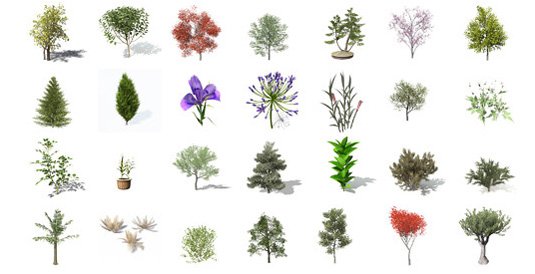 Free 3D models - Plants