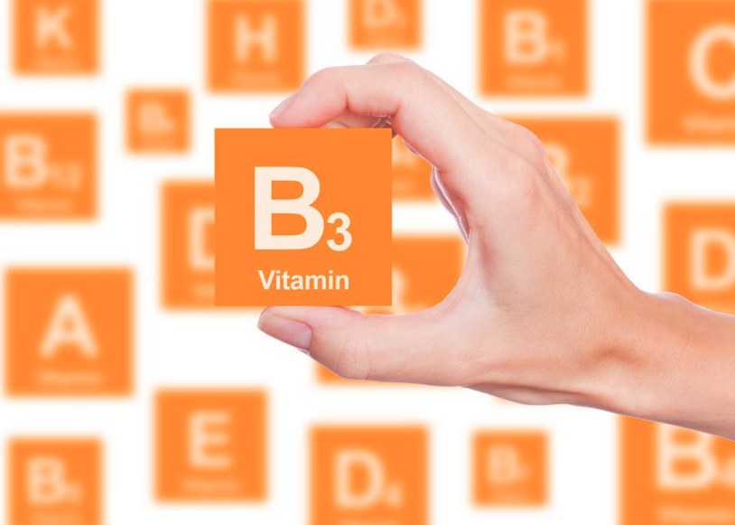 B3-Vitamini.png (814×581)