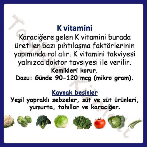 Diyetisyen_Taylan_Kumeli_K_Vitamini.jpg (500×500)