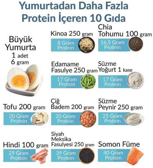 Protein Iceren Besinler 1