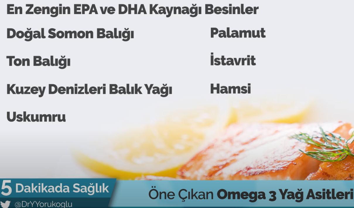 Omega 3 Iceren Besinler 3